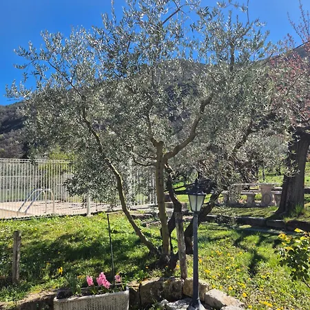 Daire Dans Les Oliviers De Titi Et Bernard Entrevaux