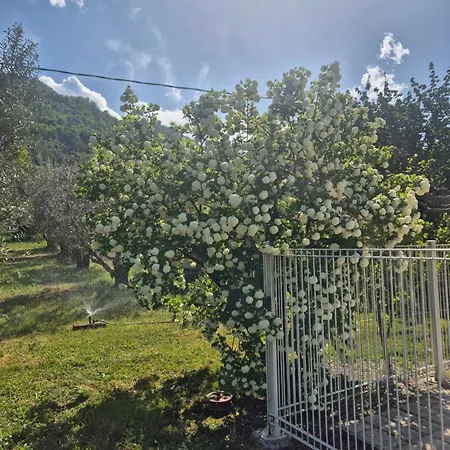 Dans Les Oliviers De Titi Et Bernard * Entrevaux